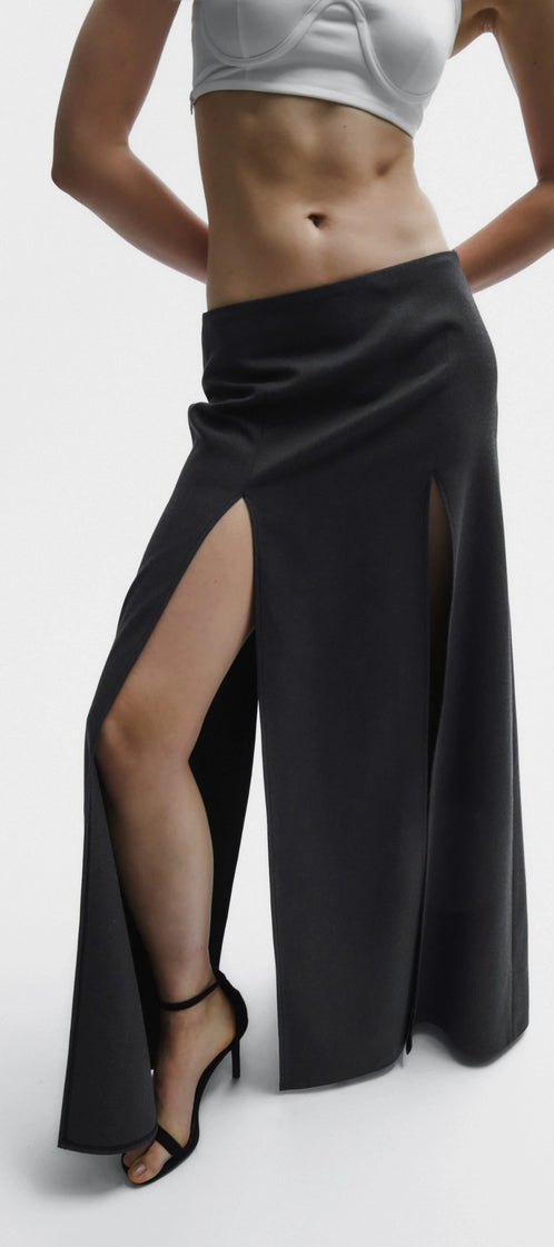 Business suit gray skirt