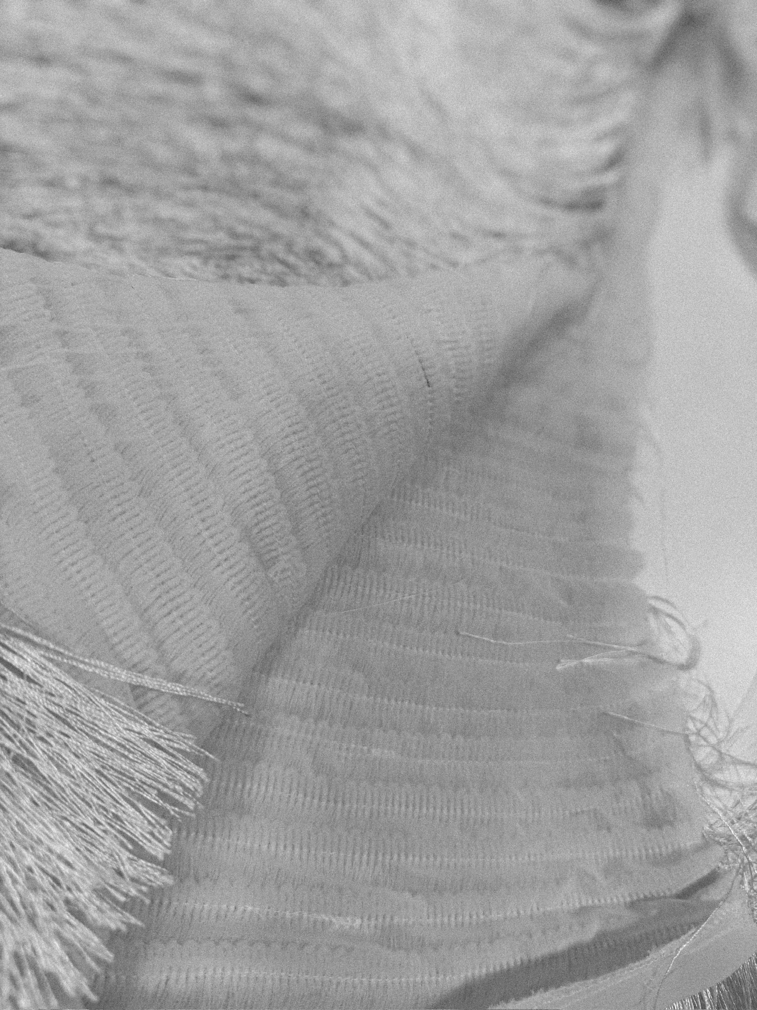 Shed Skirt