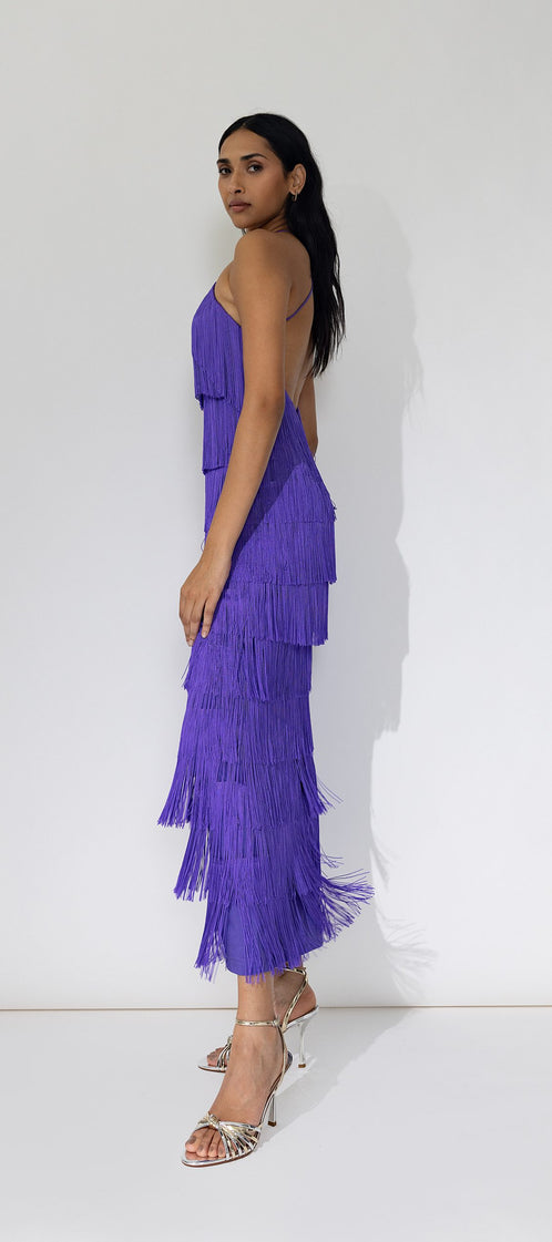 LONG ALBA berry dress